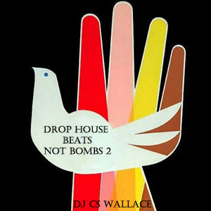 Drop House Beats Not Bombs 2-FREE Download!